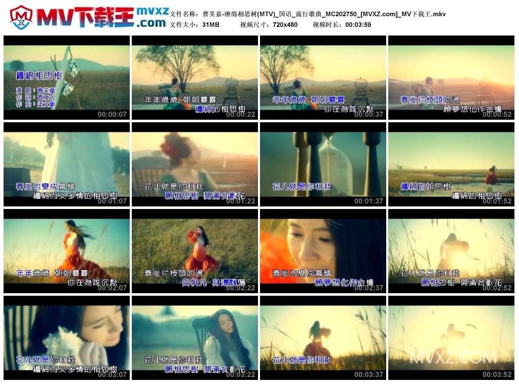 曹芙嘉-缠绵相思树(MTV)_国语_流行歌曲_MC202750